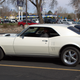 Illustration for article titled Springs Pony Car Edition